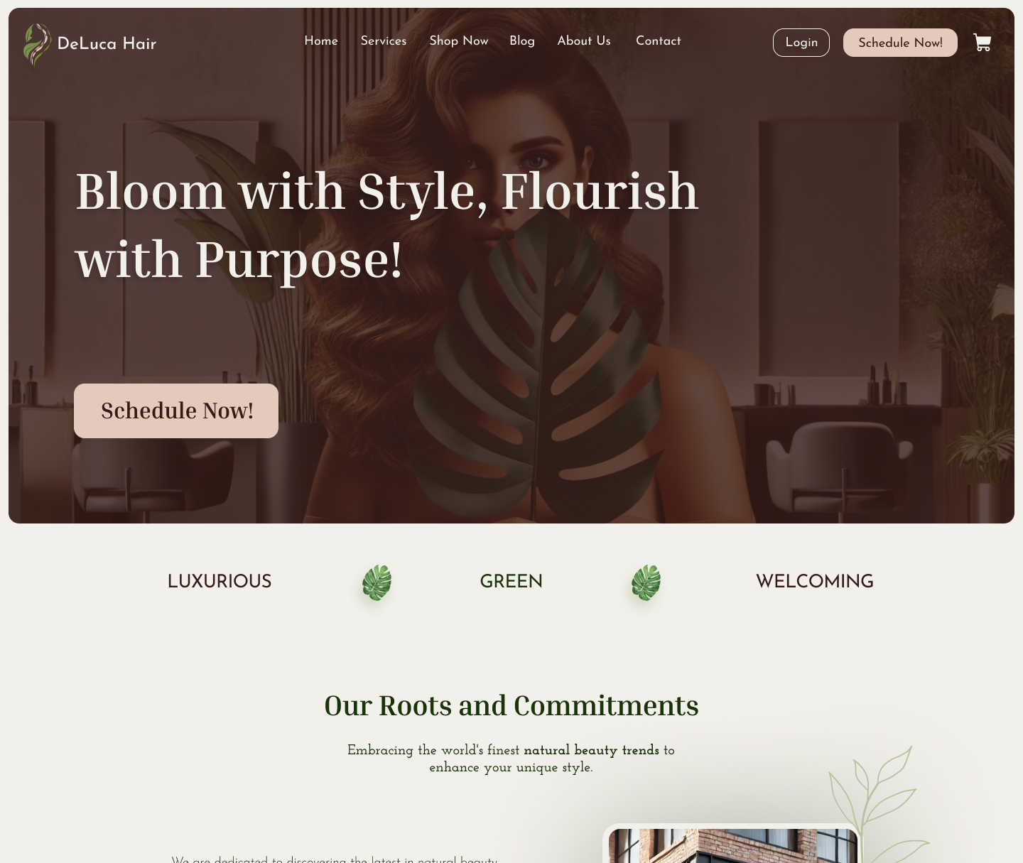 New homepage of DeLuca Hair.